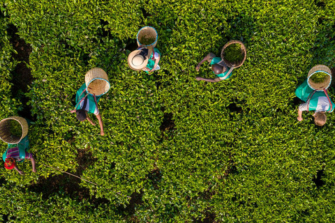 2-dniowa wycieczka kawowa nad jezioro Kivu2 dni od ziarna do filiżanki – kawa z jeziora Kivu