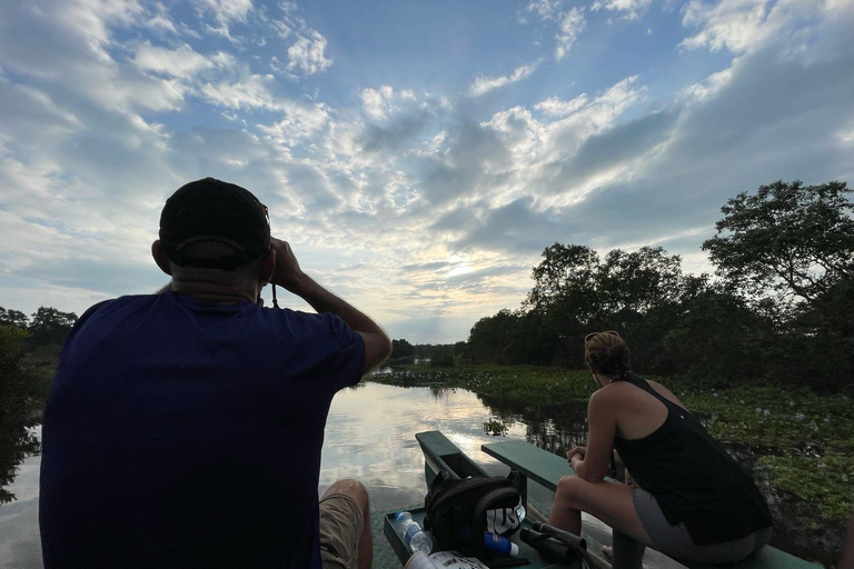 From Galle/Mirissa: Kalametiya Bird Sanctuary Boat Safari Hambantota: Kalametiya Bird Sanctuary Boat Safari-Private