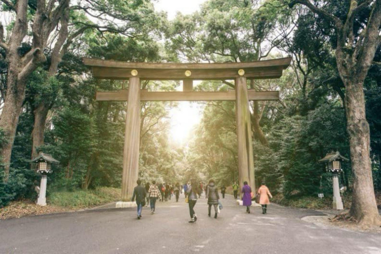 Tokyo: Private Full Day City Tour with English Driver