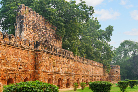 دلهي: جولة ليوم واحد في الأيورفيدا والثقافة والطهي