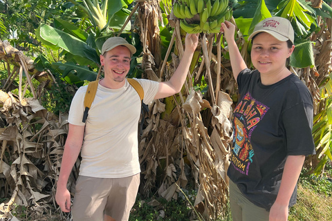 Thai Cooking Class with market tour garden tour Standard Option