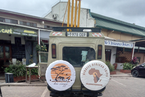 Tanzania: 5-Day Northern Circuit Safari Join Group Tour