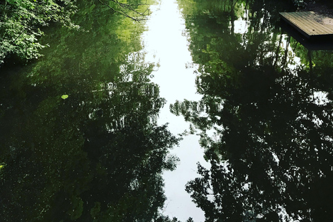 Depuis Lilienthal : Location de canoë d'une journée qui se termine à Brême