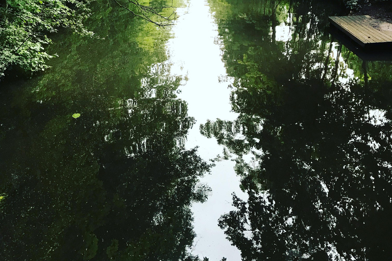 Depuis Lilienthal : Location de canoë d'une journée qui se termine à Brême