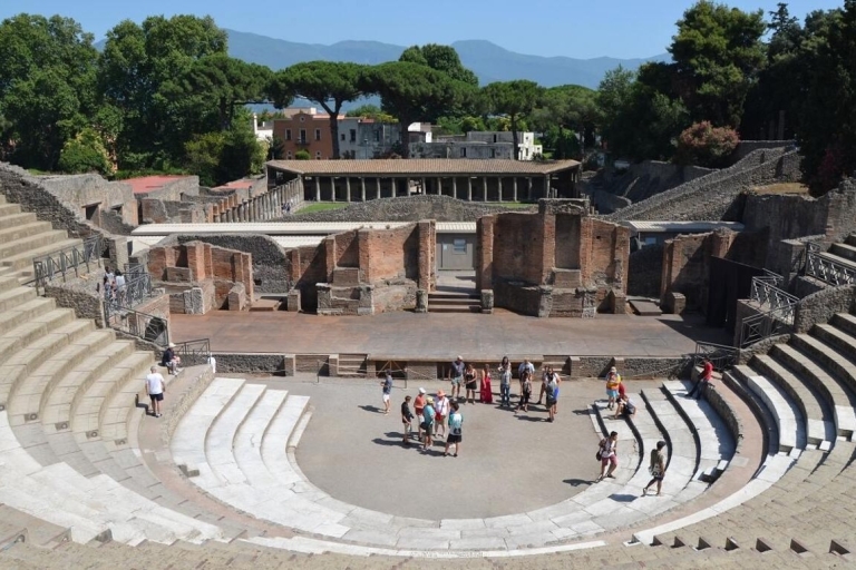 Culturele dag in Pompeii en het Nationaal museum(voor v.i.p.)