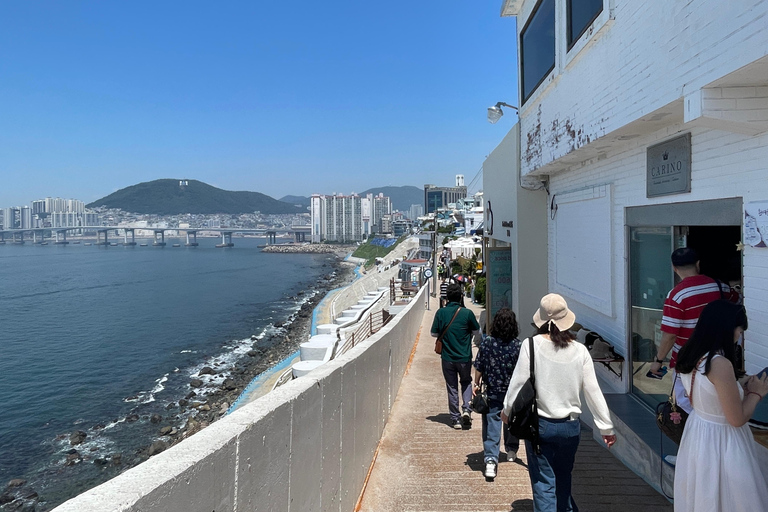 Busan: City Tour of 3 Historic Neighborhoods by Public Bus