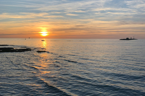 Pisa & Sunset Cruise Experience