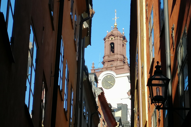 Stockholm: Old Town Walking Tour and the Viking Museum