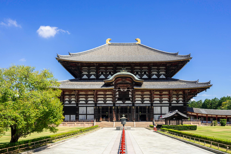 Nara: Enjoy the Highlights of Nara in 3 Hours
