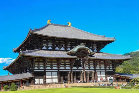 Nara Private Tour: Deer, Todai-ji & Local Sukiyaki Lunch