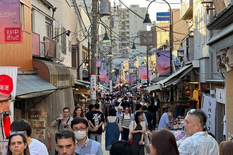 Yanaka &amp; Sendagi Tour: Ontdek de charme van de oude stad van Tokio