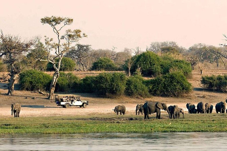 Botswana: Chobe National Park Full Day Trip