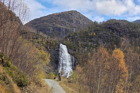 Bergen Private Tour: Waterfalls of Hardanger with a Snack