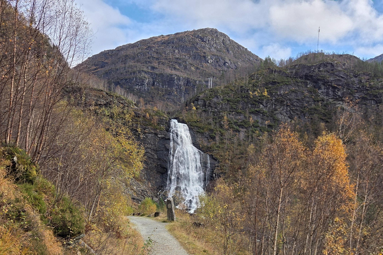 Bergen Private Tour: Waterfalls of Hardanger with a Snack