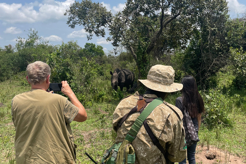 3-Day Ugandan tour with Murchison Falls, Rhinos & Chimpanzee