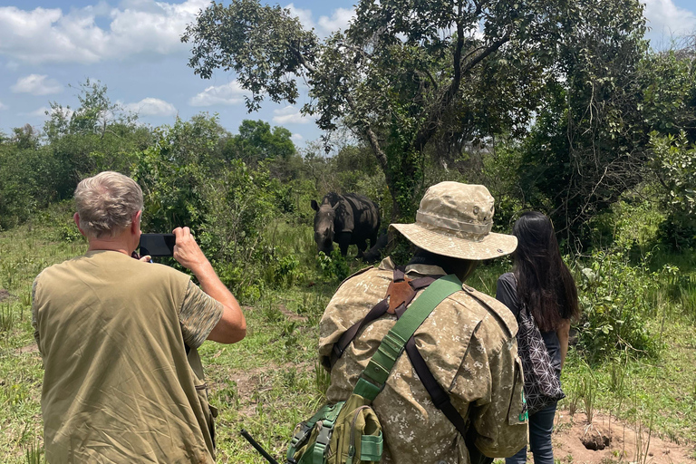 3-Day Ugandan tour with Murchison Falls, Rhinos & Chimpanzee