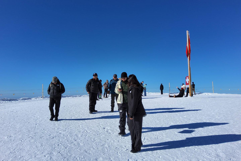 Day Trip from Zurich to Jungfraujoch - Top of Europe