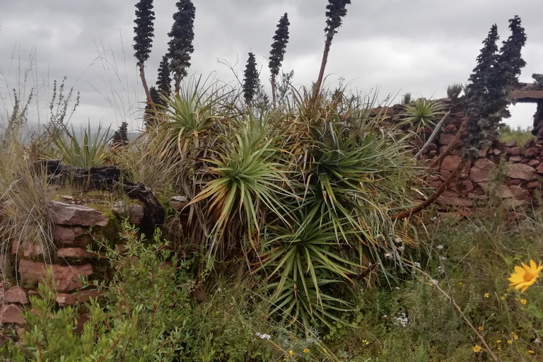 CHEMIN ANCESTRAL DU CONDOR - ÉCOTOURISME ET EXPÉRIENCE VÉCUE