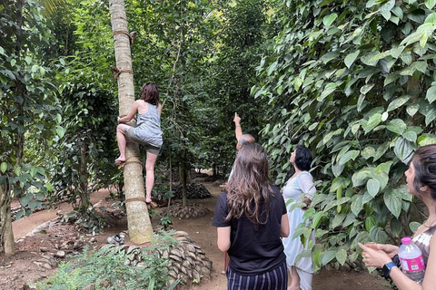 Kandy: Herbal and Spice Workshop Tour with Pickup & Drop Off