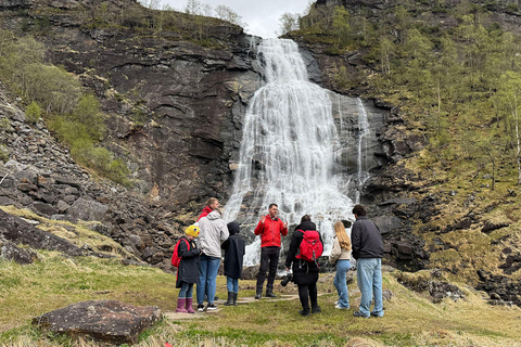 Scenic Hardangerfjord with Waterfalls & Lunch at a Garden 