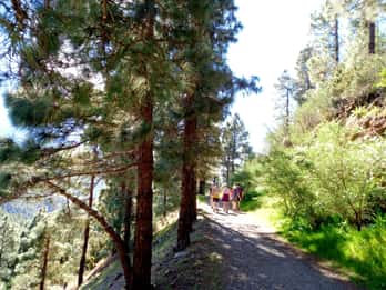 Tenerife : Randonnée au dessus du village de Masca