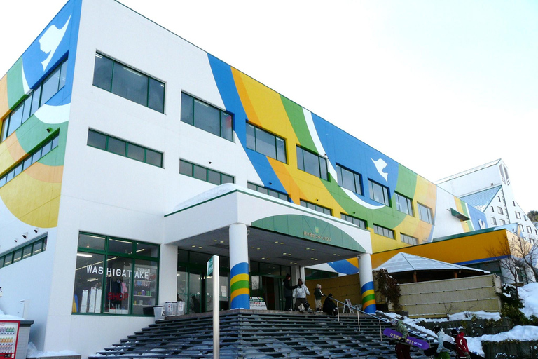 Nagoya: Washigatake Ski Resort Day Trip with Lift Ticket Nagoya: Include bus fare & lift ticket