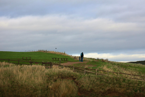 From Edinburgh: 6-Day Shetland & Nothernmost Explorer 6-Day Shetland Explorer -- Twin/Double Room