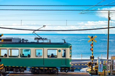 From Tokyo: Kamakura Private Tour with Great Buddha & Bamboo