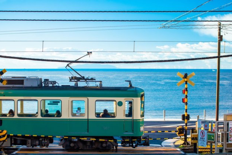 From Tokyo: Kamakura Private Tour with Great Buddha & Bamboo