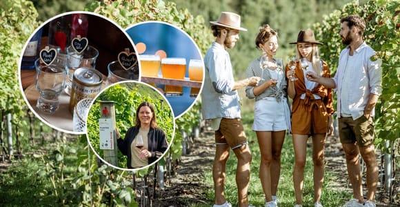 Queenstown: Gin, Wine & Beer Tour with Local Guide