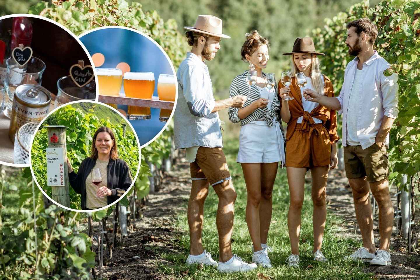 Queenstown: Gin, Wine & Beer Tour with Local Guide - Queenstown: Gin, Wine & Beer Tour with Local Guide