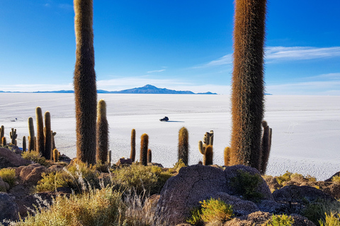 3-Day Salt Flats & Altiplano Tour to San Pedro de Atacama ENGLISH TOUR