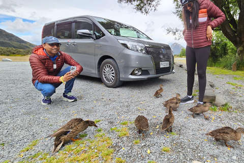 Arthur’s Pass Alpine Explorer Day Tour from Christchurch