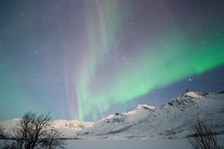 From Tromsø: Chinese Speaking Northern Light Chase