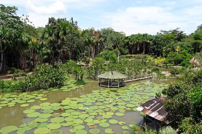 Iquitos Jungle 3D |bateau+ pêche au Piranha+excursion de nuit|