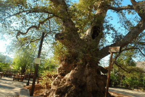 De Heraklion: Caverna de Zeus e Palácio de Knossos - excursão particularPasseio em veículo de 3 lugares