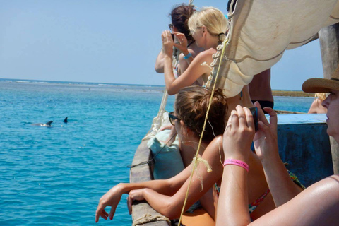 From Diani: Kenya's Ultimate Dolphin & Snorkeling Day Trip