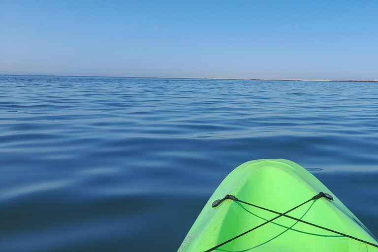 Swakopmund: Sunset Kayaking Tour with Hotel Pickup