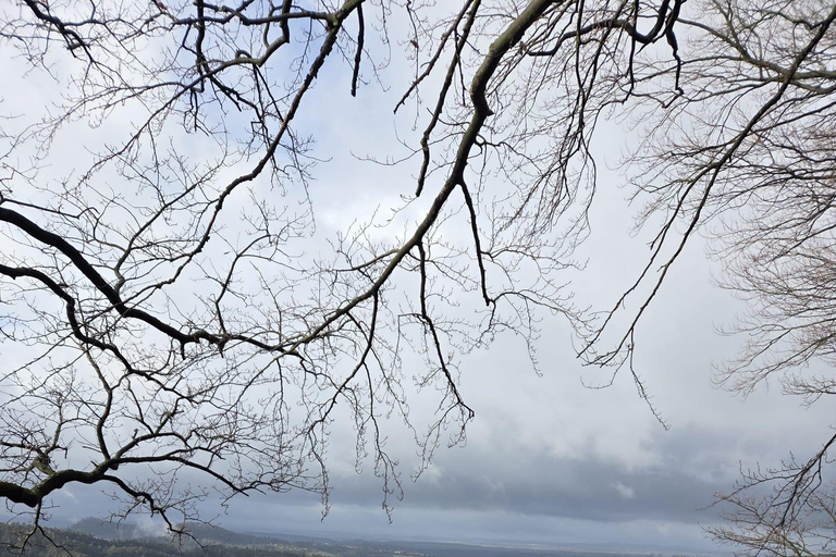 From Dresden: Table mountains Lilienstein & Königstein tour