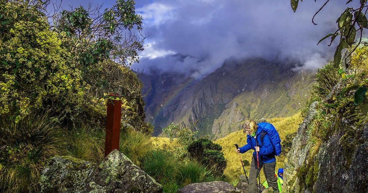 Camino Inca De La Selva A Machu Picchu D As Getyourguide