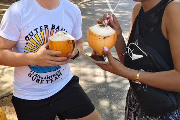 Sri Lanka: 10-Day Wildlife, Culture & Scenic Adventure