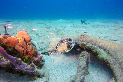 Aventure de plongée sous-marine à Catalina Le mur et l&#039;aquarium