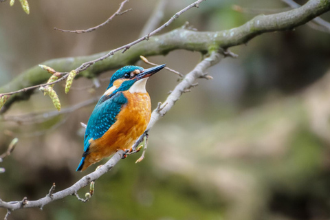 Zagreb: Wissenschaftliche Touren, Zagreat Outdoors