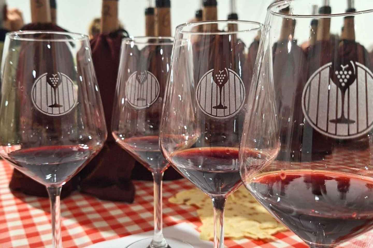 Mamoiada: tour della cantina con degustazione di vini