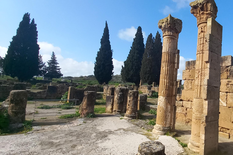 Tunis: 2-Day North Africa Highlights Tour & 1-Night Tabarka