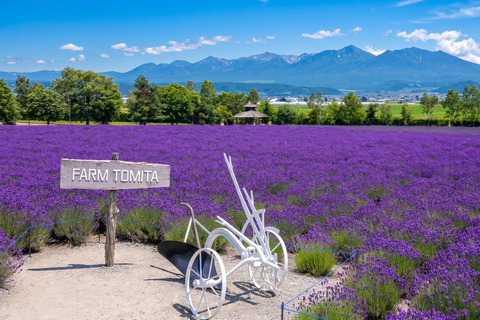 Sapporo: Asahiyama Zoo, Blue Pond, & Farm Tomita Tour