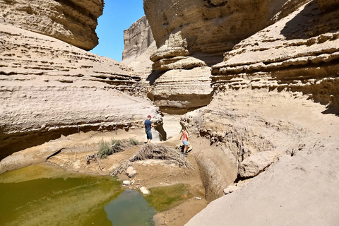 Depuis Ica || Excursion d&#039;une journée dans le canyon de Los Perdidos ||