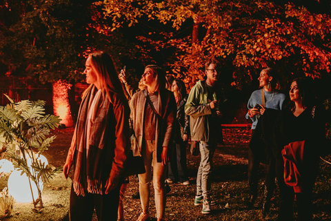 Budapest: biglietto d'ingresso per il Lumina Light Park Wonderworld