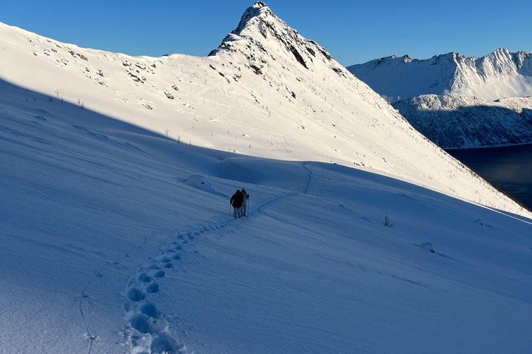 Tromsø: Snowshoe Hike on Senja to Hesten with Views of Segla From Tromsø: Snowshoe Hike to Hesten