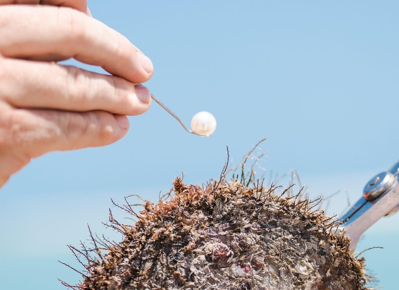Broome: Helikopterflyvning og rundvisning på Willie Creek Pearl Farm